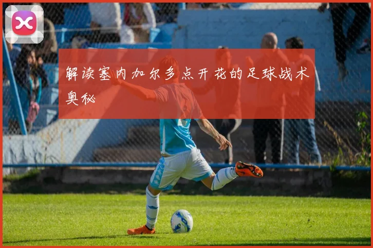 解读塞内加尔多点开花的足球战术奥秘